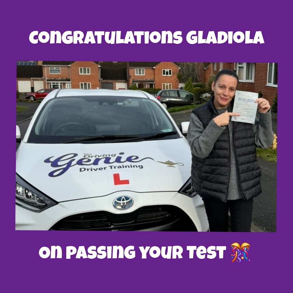 The Driving Genie Ltd