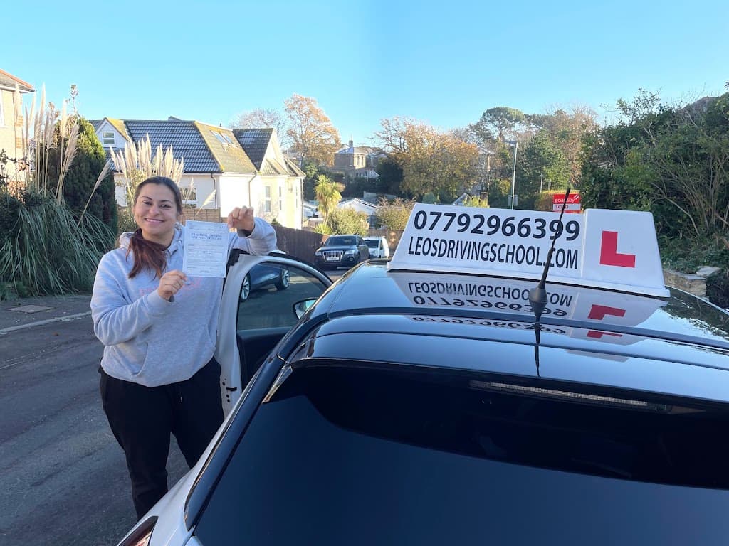 Leo's Driving School